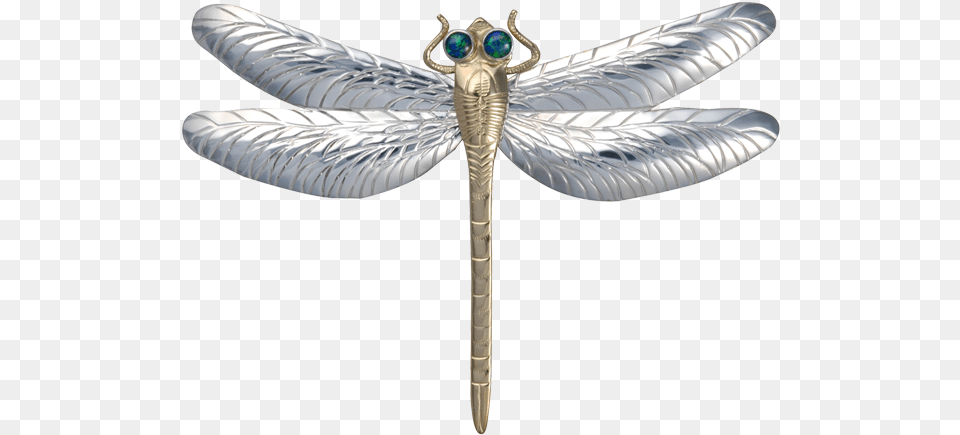 Damselfly, Animal, Dragonfly, Insect, Invertebrate Png