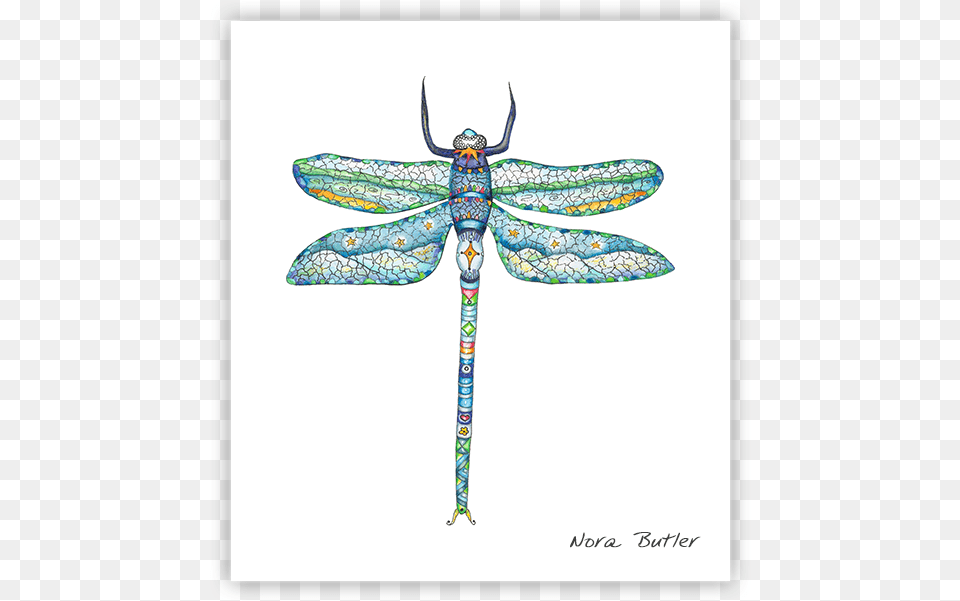 Damselfly Print By Nora Butler Net Winged Insects, Animal, Dragonfly, Insect, Invertebrate Free Png Download