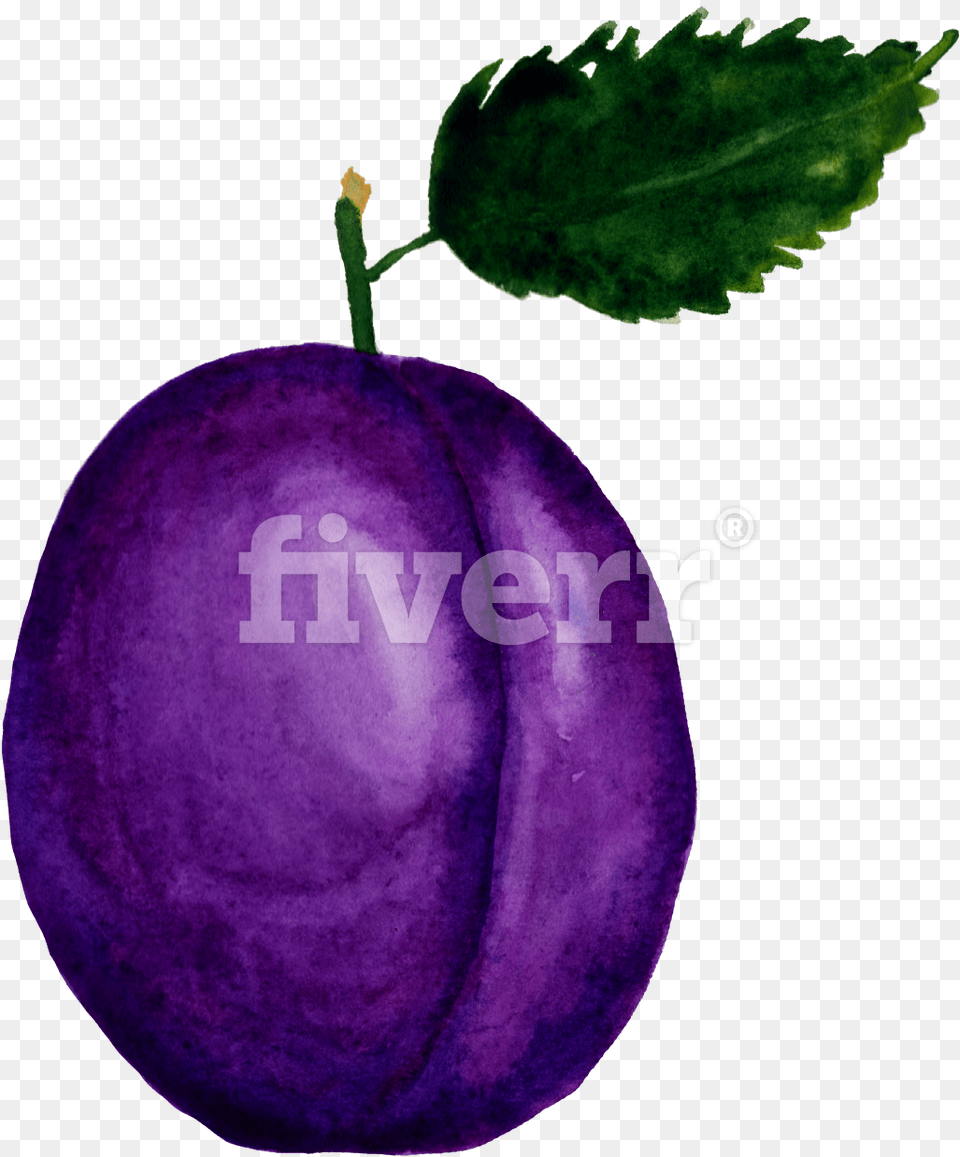 Damson, Food, Fruit, Plant, Produce Free Png