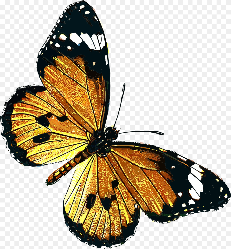 Danaus Chrysippus Clip Art Public Domain Vintage Butterfly, Animal, Insect, Invertebrate, Monarch Png Image