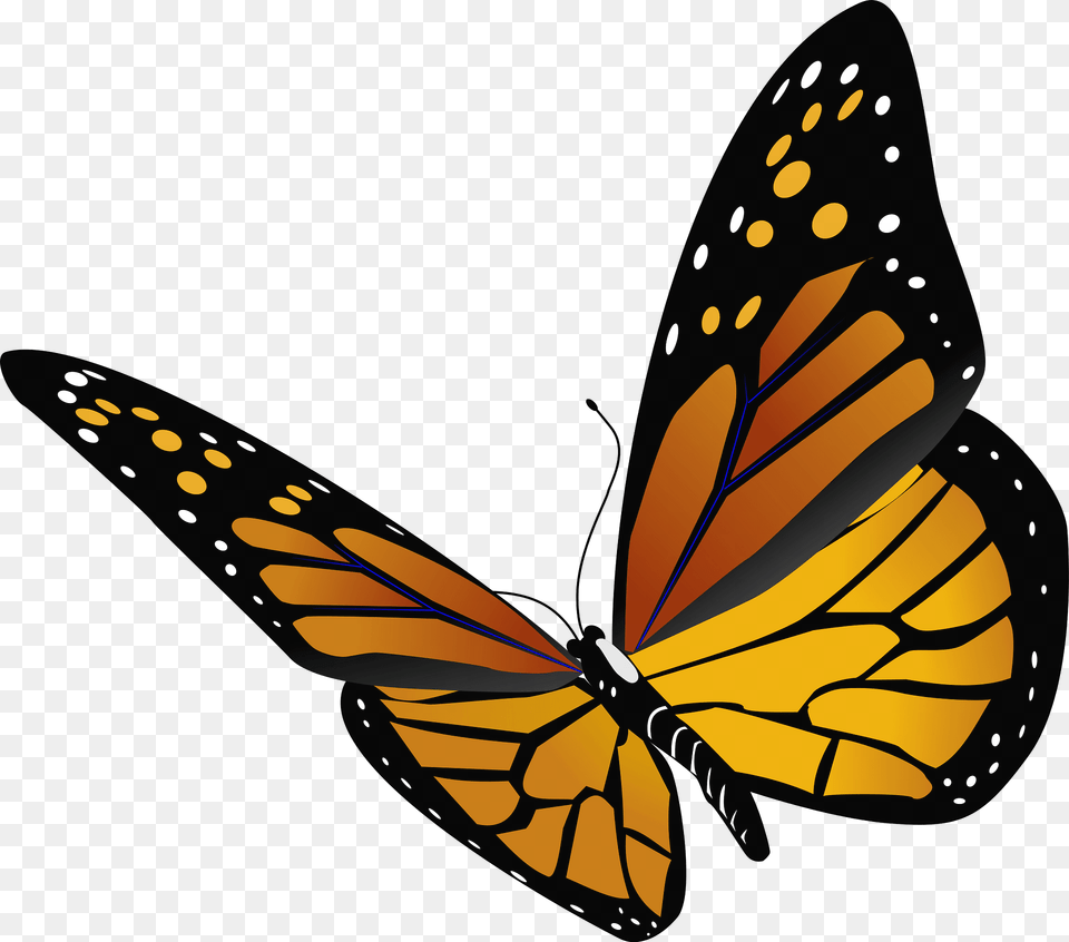 Danaus Plexippus Clipart, Animal, Butterfly, Insect, Invertebrate Free Transparent Png