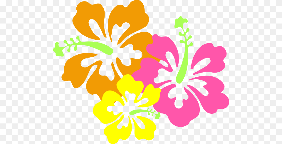 Dance, Flower, Hibiscus, Plant Free Transparent Png