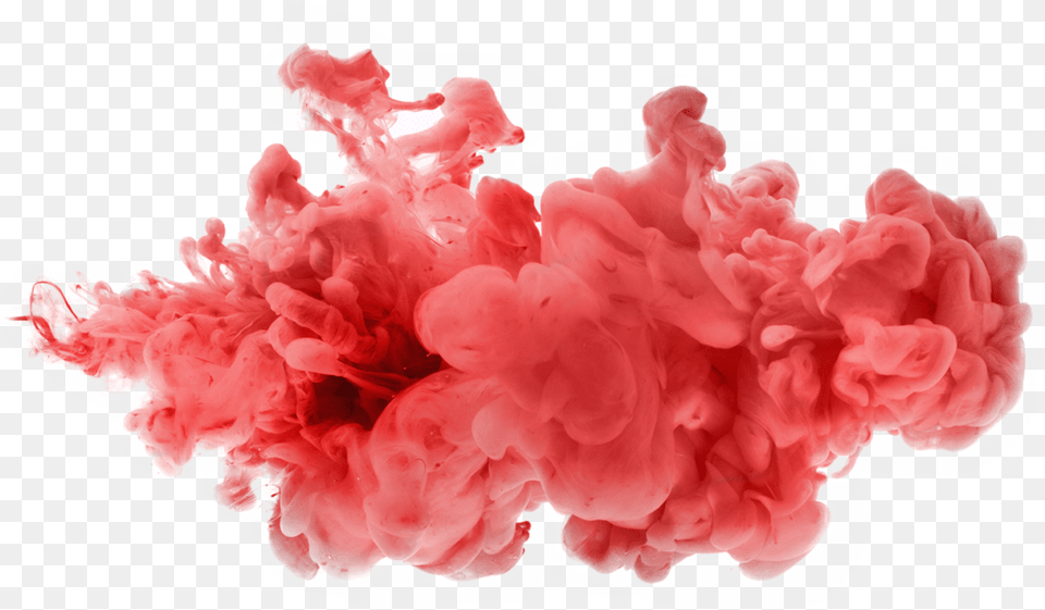 Dance Girl, Carnation, Flower, Plant, Mineral Png Image