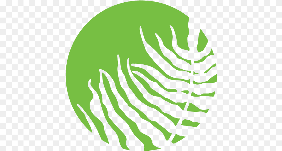 Dance Icon, Fern, Plant, Leaf, Green Free Transparent Png