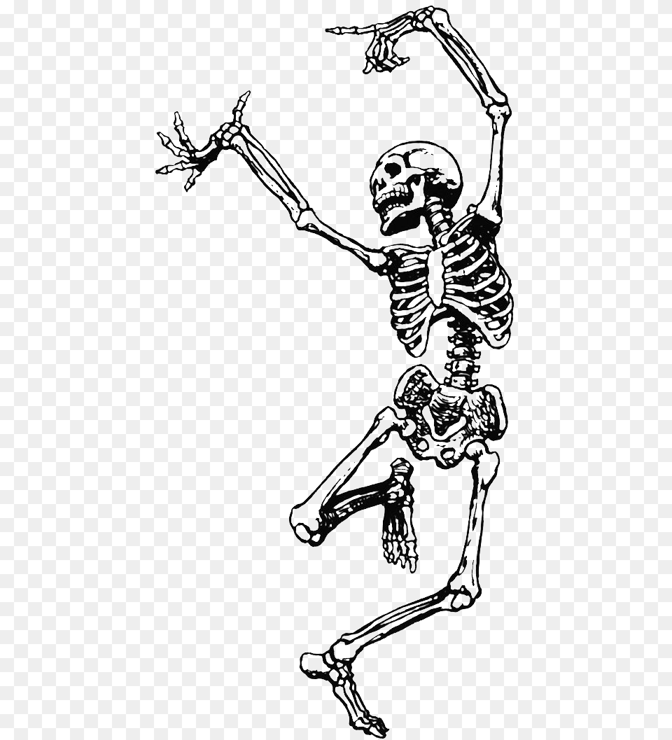 Dance Skeleton Human Skull File Hd Clipart Skeleton With Flower Crown, Adult, Bride, Female, Person Png