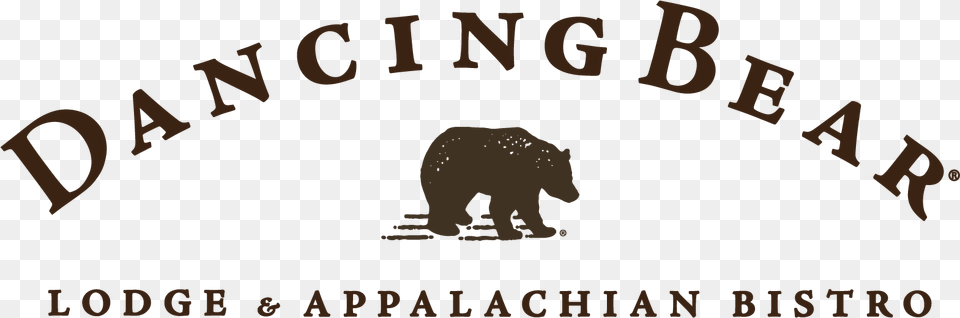 Dancing Bear Lodge American Black Bear, Animal, Mammal, Wildlife, Zoo Free Png Download