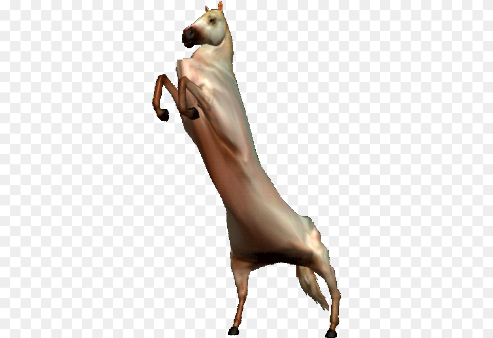 Dancing Dog Meme Gif Transparent Pics Animal Figure, Adult, Female, Person, Woman Png Image