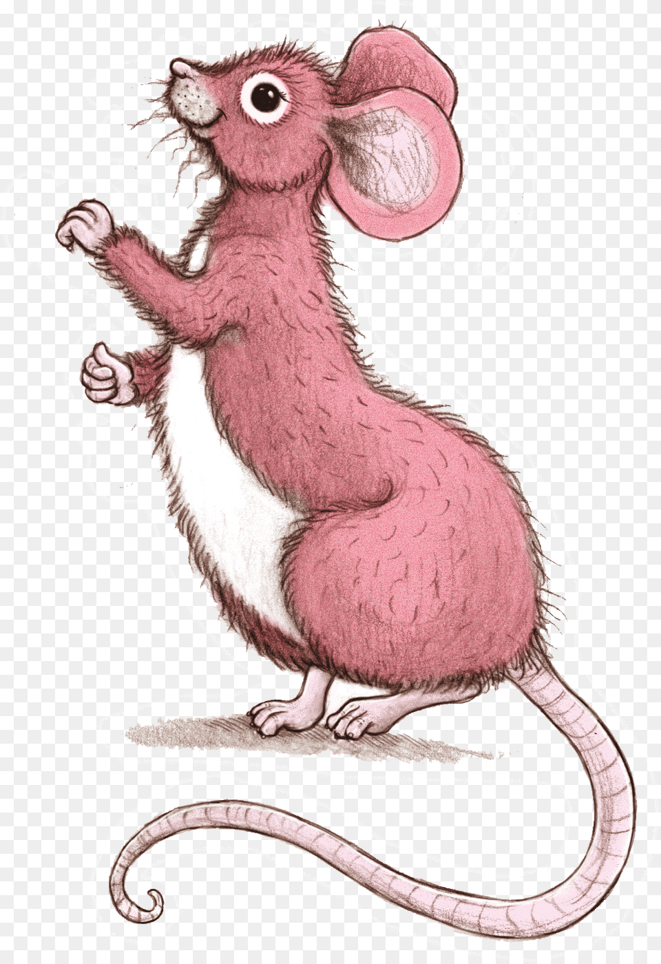 Dancing Rat Rat, Animal, Mammal, Bird Png Image