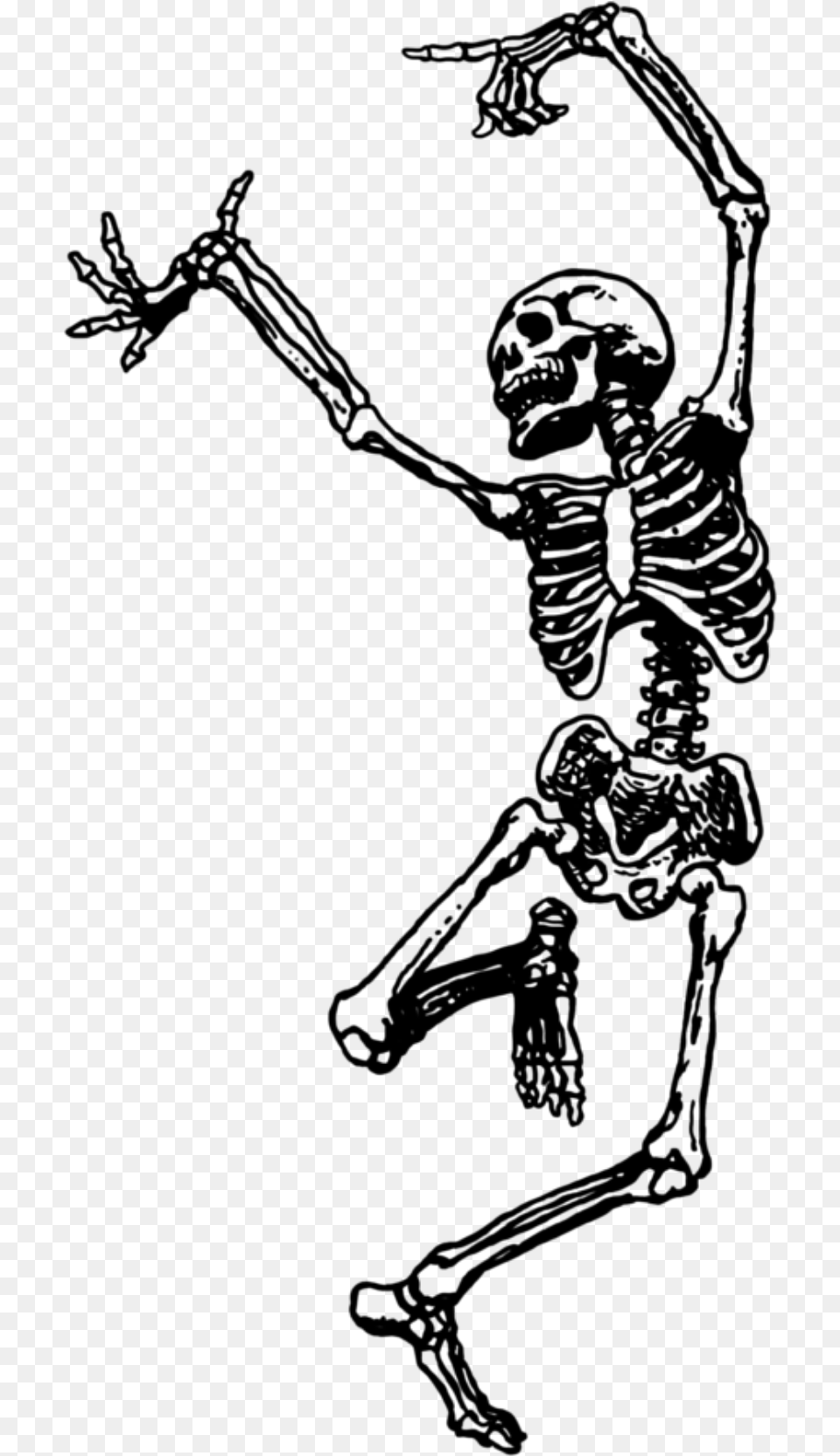 Dancing Skeleton Clip Art, Gray Free Png Download