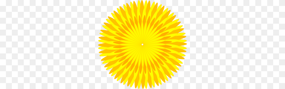 Dandelion, Flower, Plant, Sunflower, Petal Png