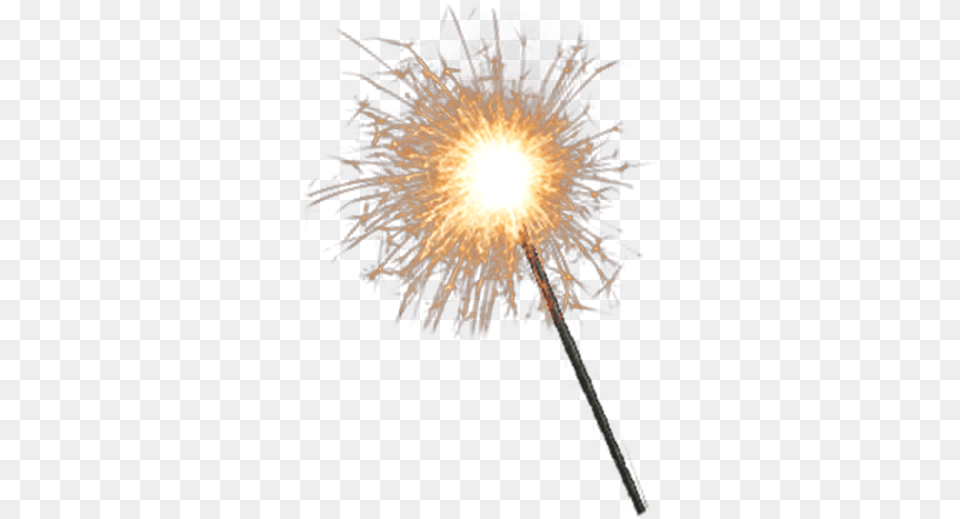 Dandelion, Fireworks, Flare, Light Free Transparent Png