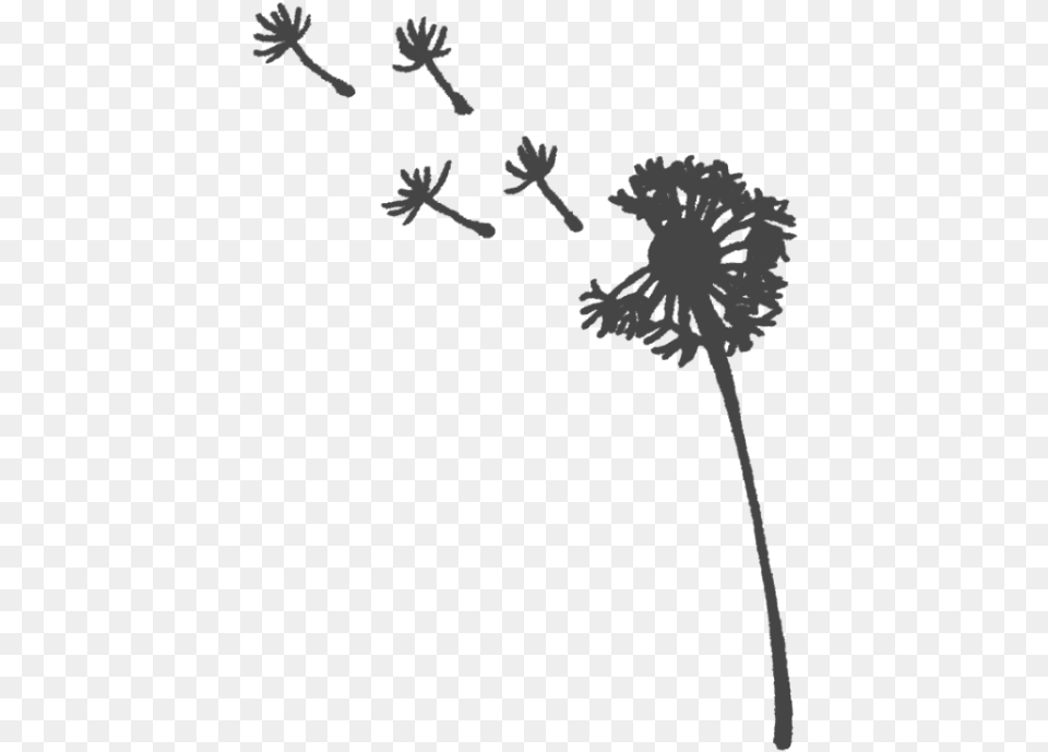 Dandelion, Flower, Plant, Person, Face Png Image