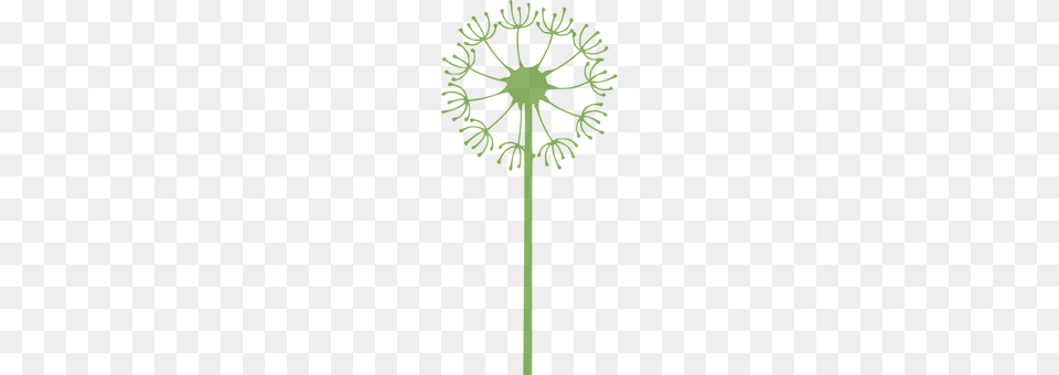 Dandelion Flower, Plant, Cross, Symbol Png Image