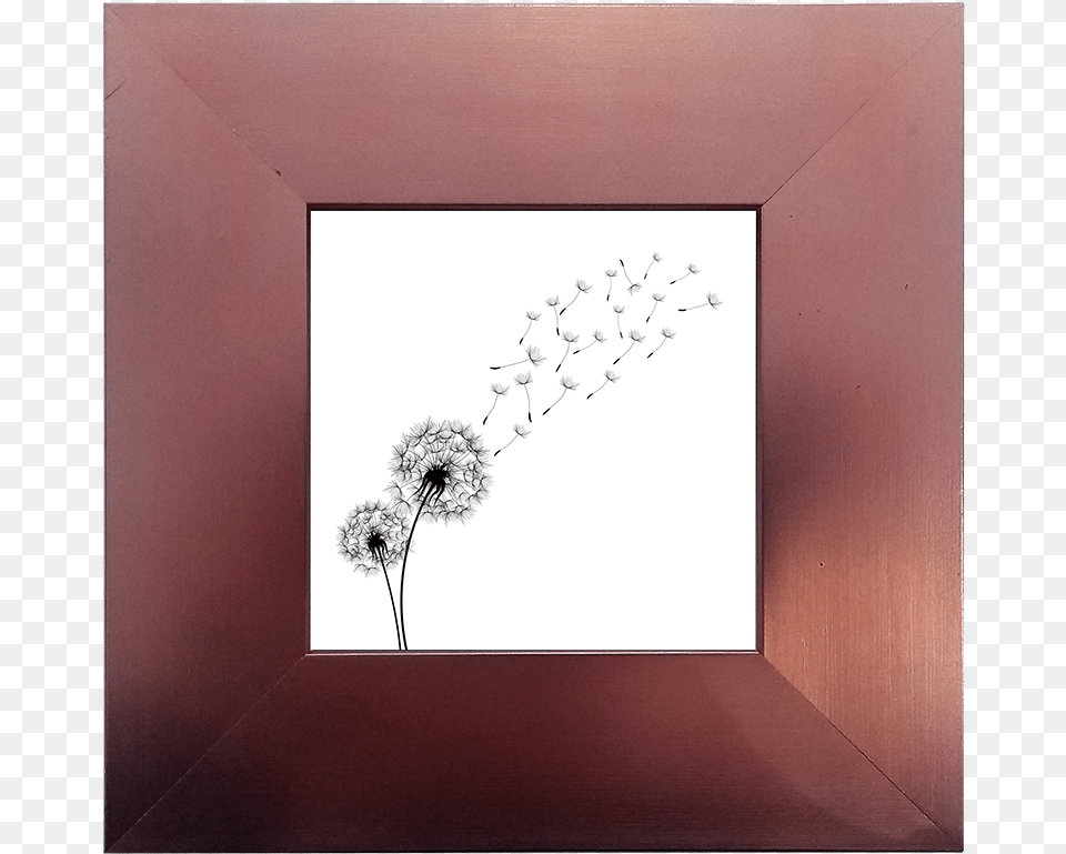 Dandelion, Flower, Plant, Flower Arrangement Free Png