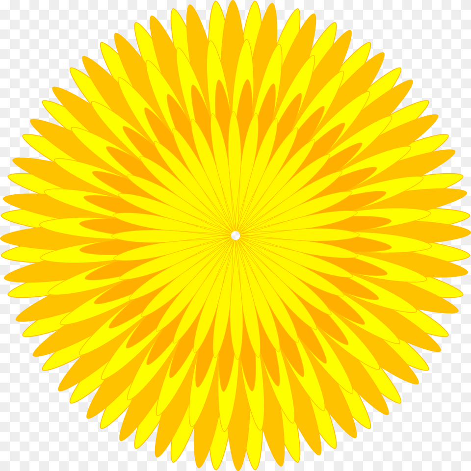 Dandelion, Flower, Plant, Sunflower Png