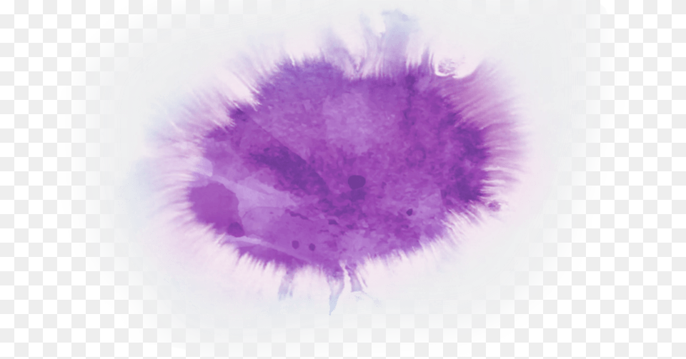 Dandelion, Purple, Stain, Person, Face Png