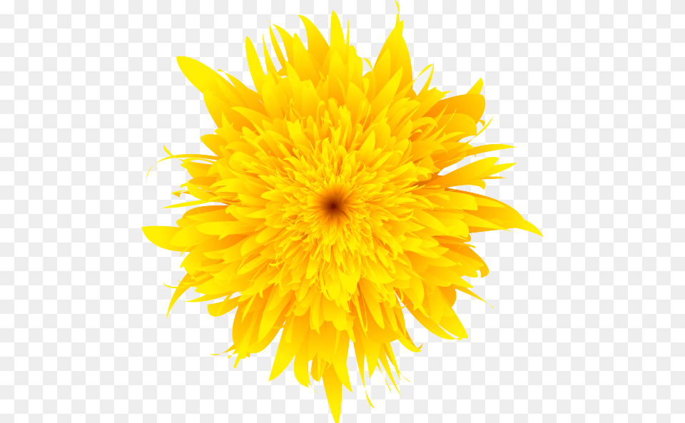 Dandelion, Flower, Plant, Dahlia, Sunflower Free Png Download