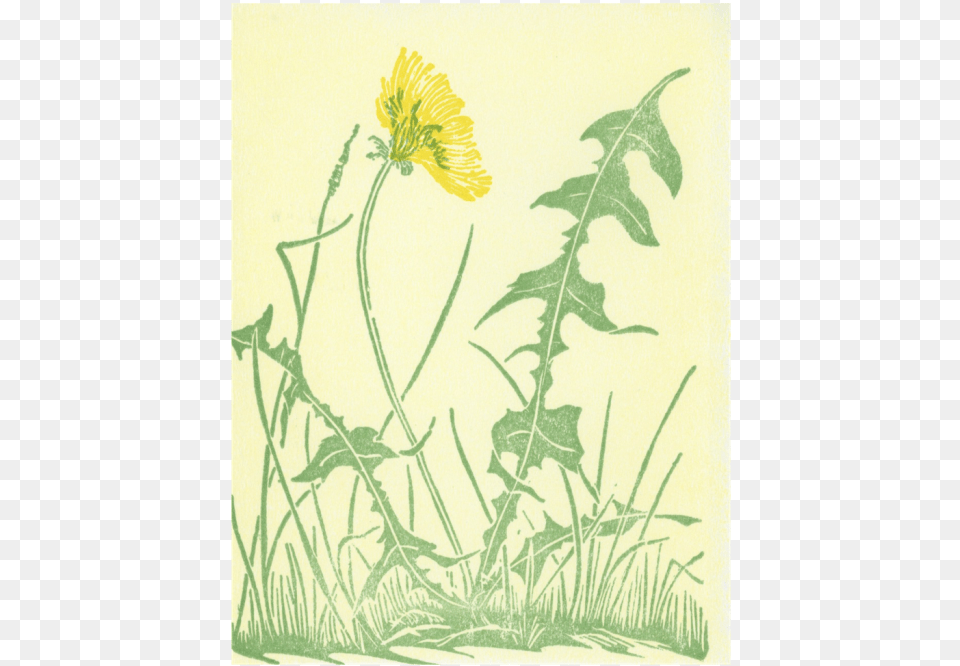 Dandelion Block Print, Flower, Plant Free Transparent Png