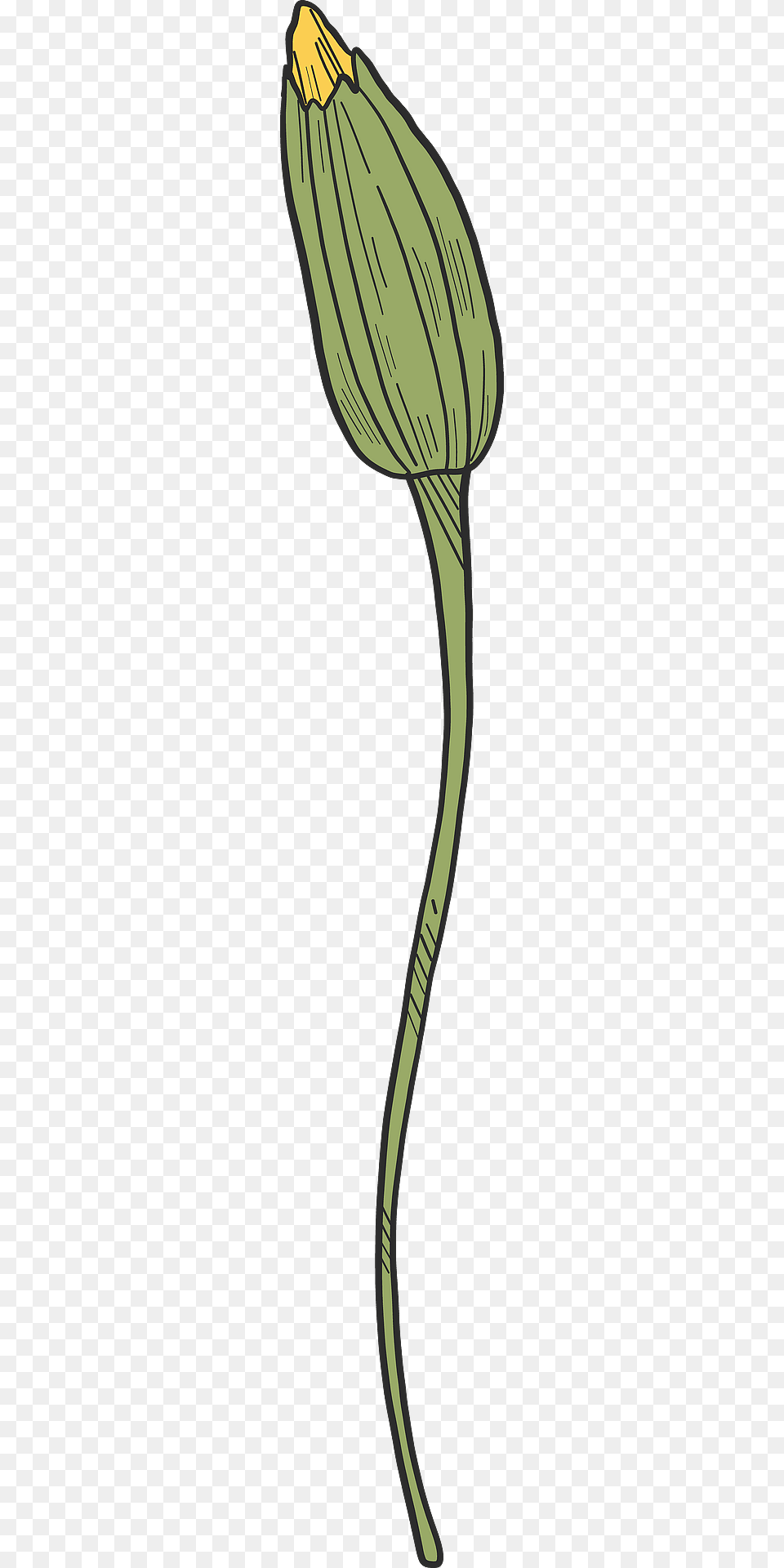 Dandelion Bud Clipart, Flower, Plant, Sprout, Leaf Free Transparent Png
