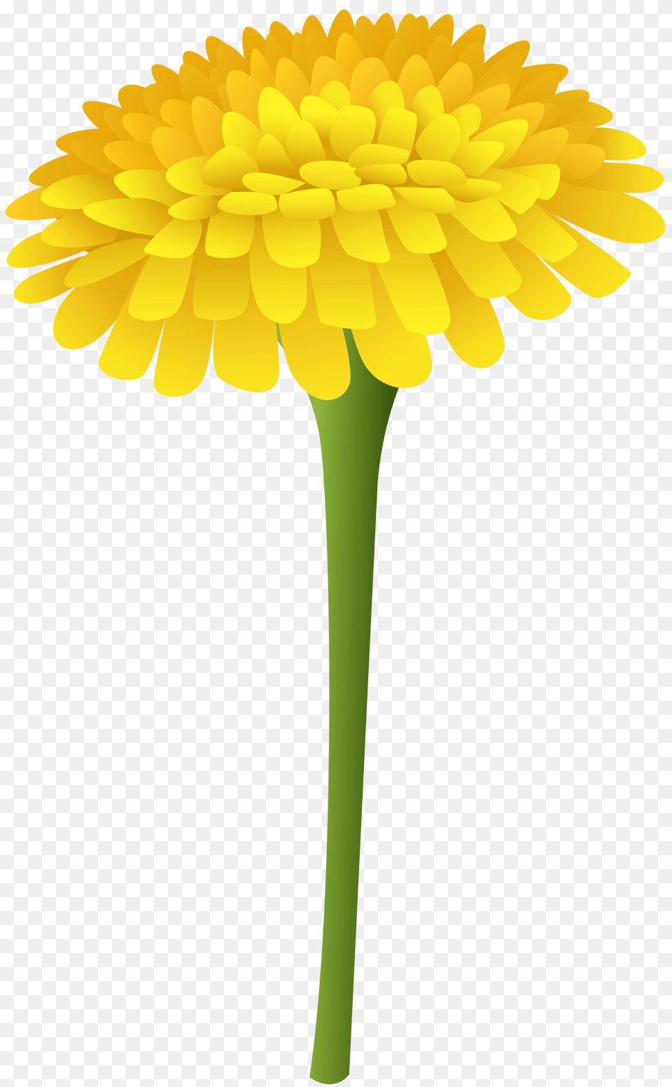 Dandelion Clip Art, Flower, Plant, Cross, Symbol Free Transparent Png