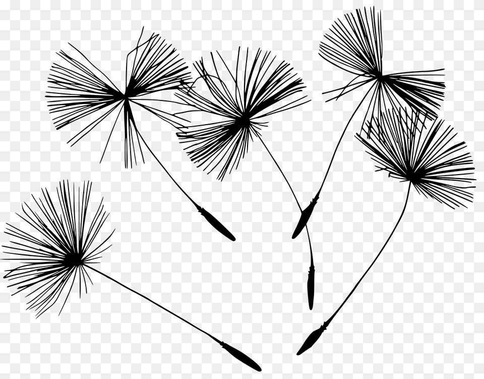 Dandelion Clipart, Flower, Plant, Art, Animal Free Png Download