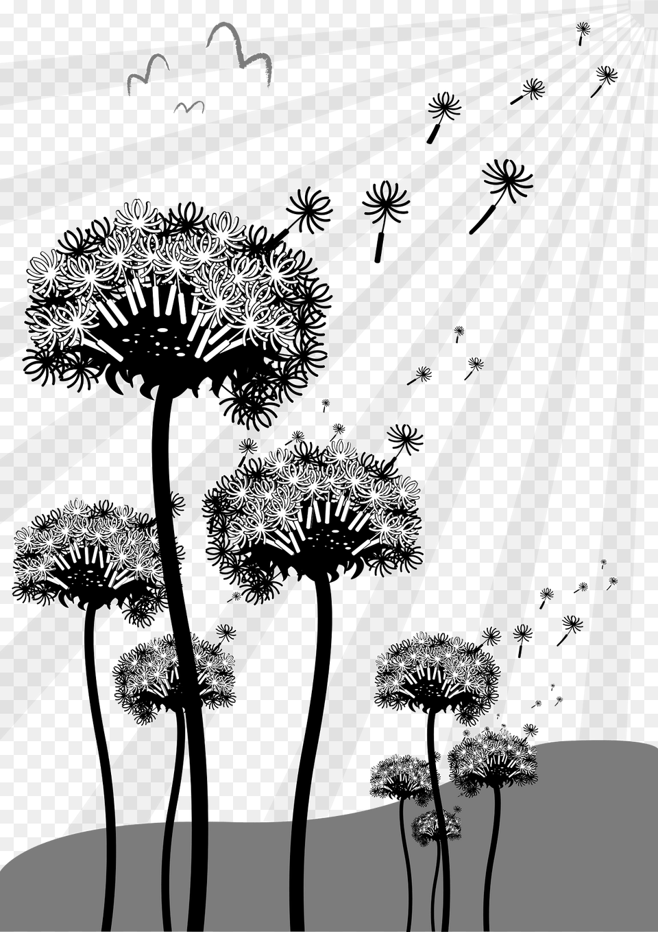 Dandelion Clipart, Flower, Plant, Art Png Image