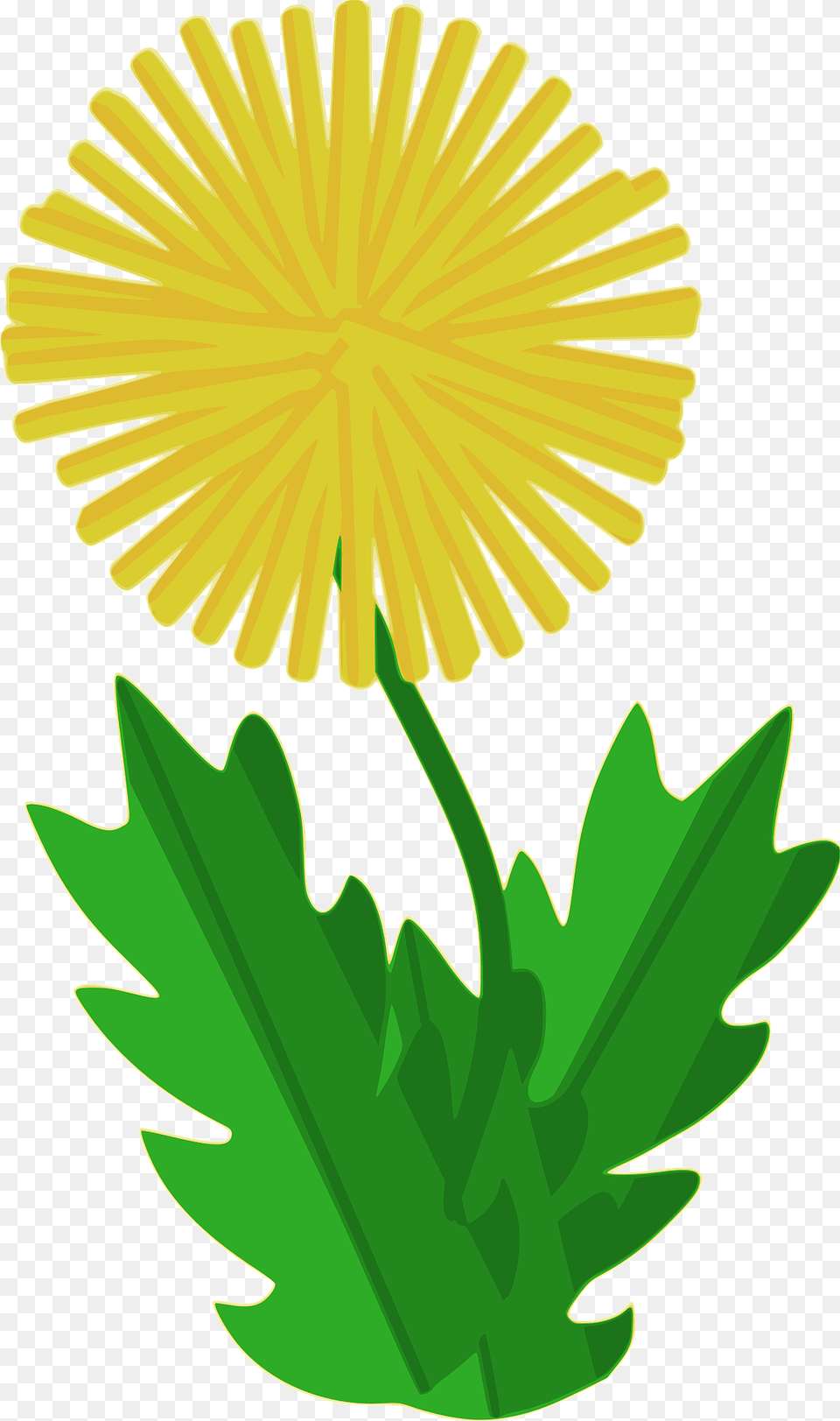 Dandelion Clipart, Flower, Plant, Dynamite, Weapon Png