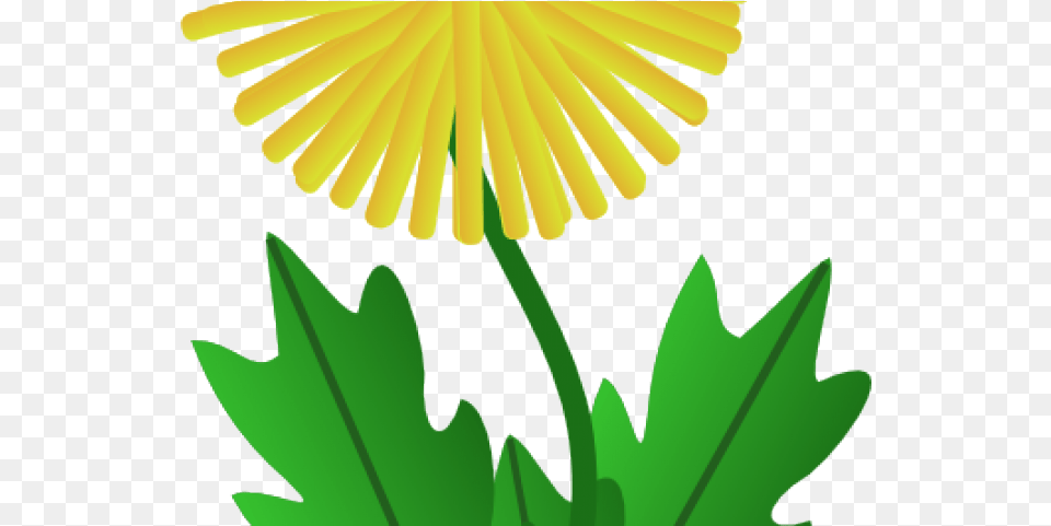 Dandelion Clipart Animated Dandelion Clip Art, Flower, Plant, Daisy, Leaf Png Image