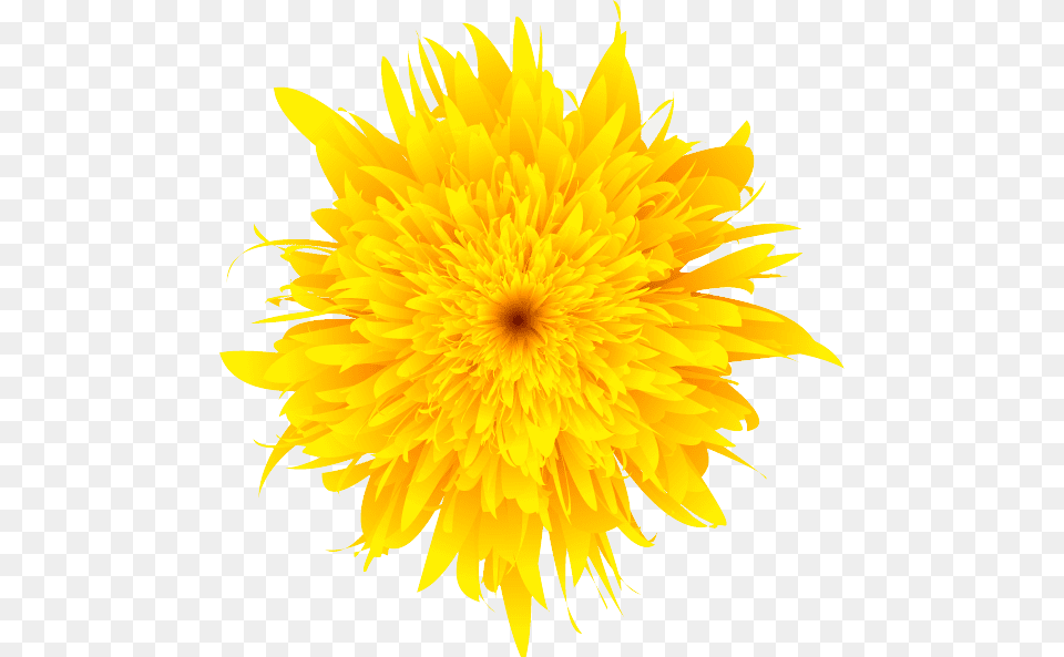 Dandelion Clipart Large Beautiful Drawing Of Sun, Flower, Plant, Dahlia, Sunflower Free Png