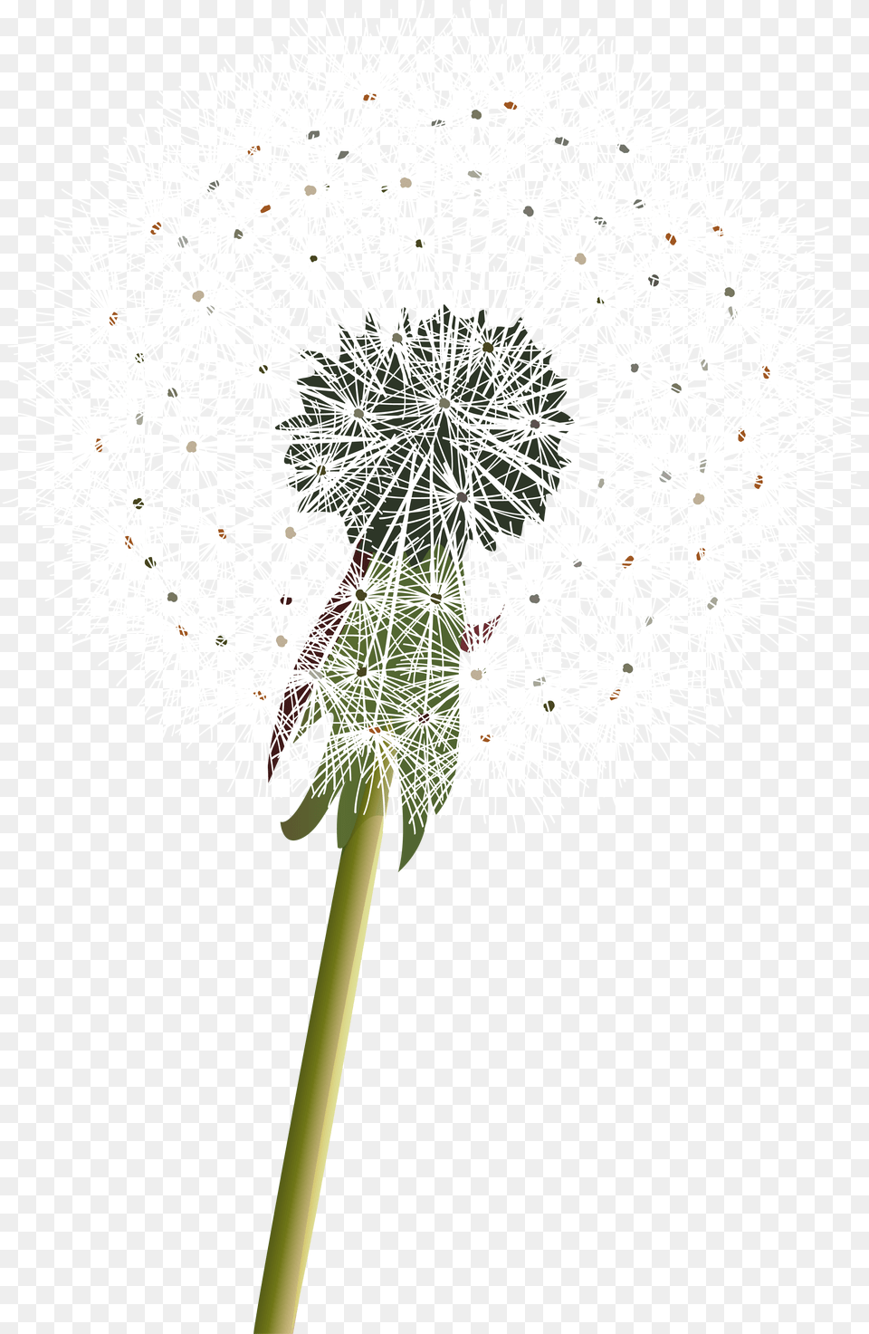 Dandelion Clipart Transparent Tumblr Karahindiba Duvar Kad, Flower, Plant Free Png