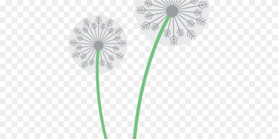 Dandelion Clipart Two Circle, Flower, Plant Png