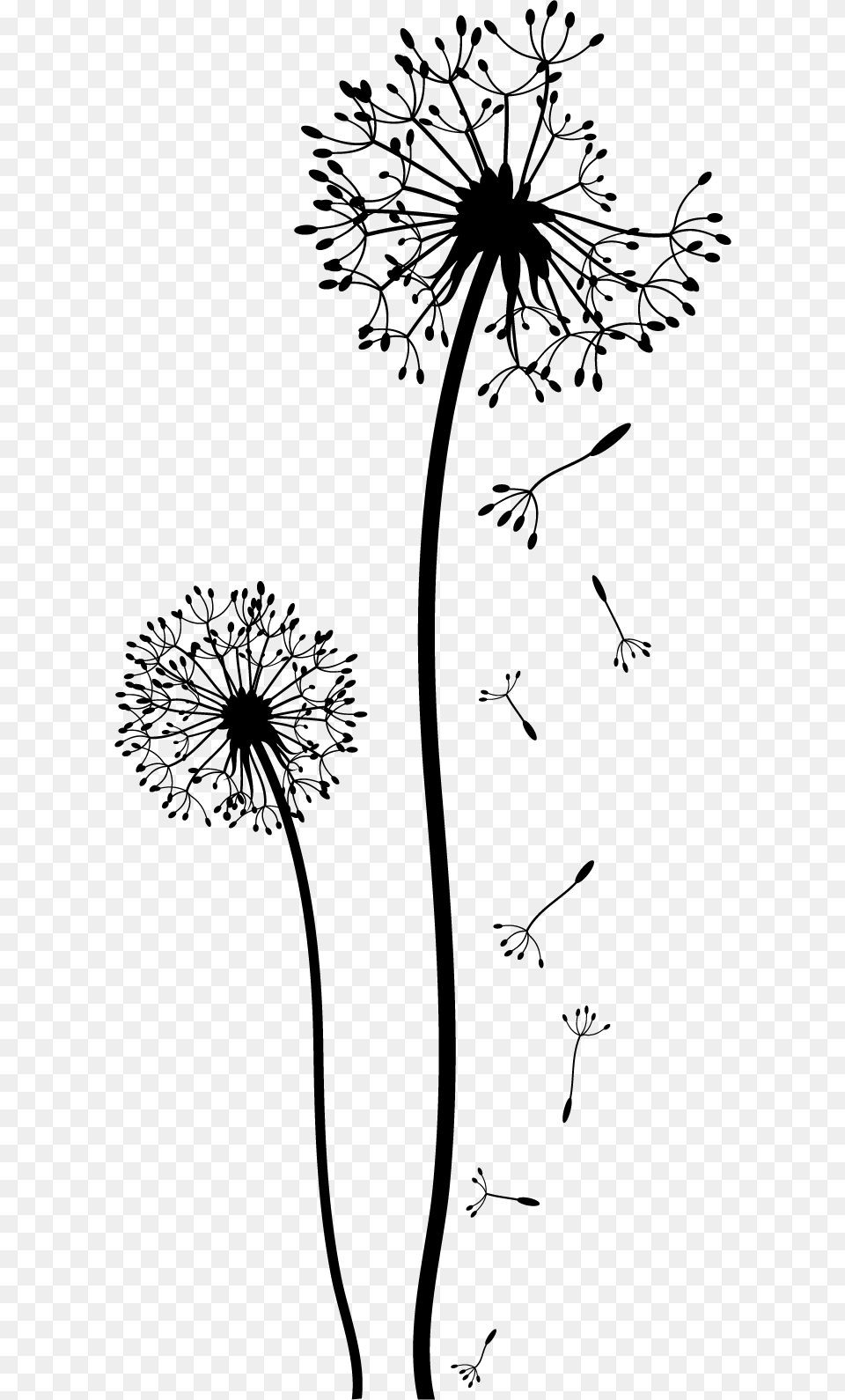 Dandelion Download Black And White Flower Drawing, Plant, Animal, Bird Png Image