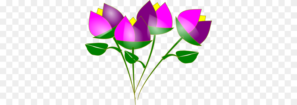 Dandelion Drawing Flower Flatweed, Leaf, Rose, Purple, Plant Png Image
