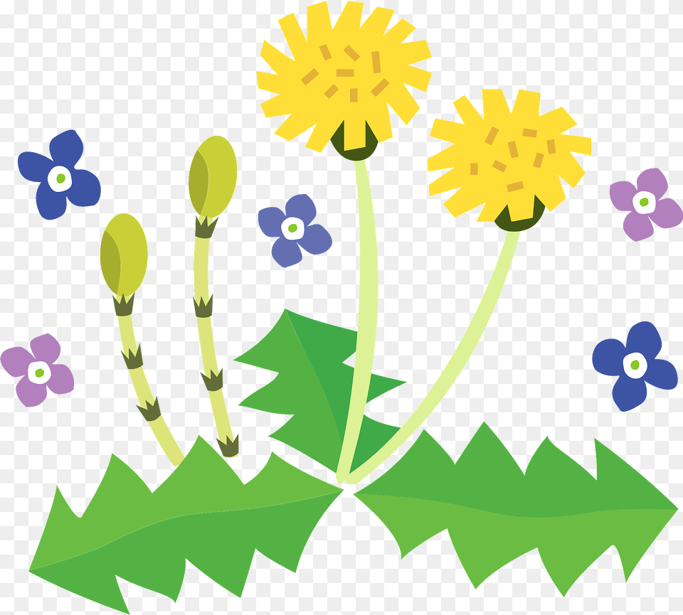 Dandelion Fertile Shoots Clipart, Flower, Plant Free Png