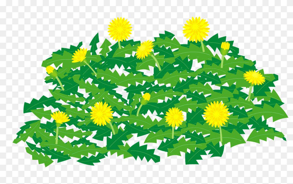 Dandelion Flower Clipart, Plant, Dynamite, Weapon Png Image