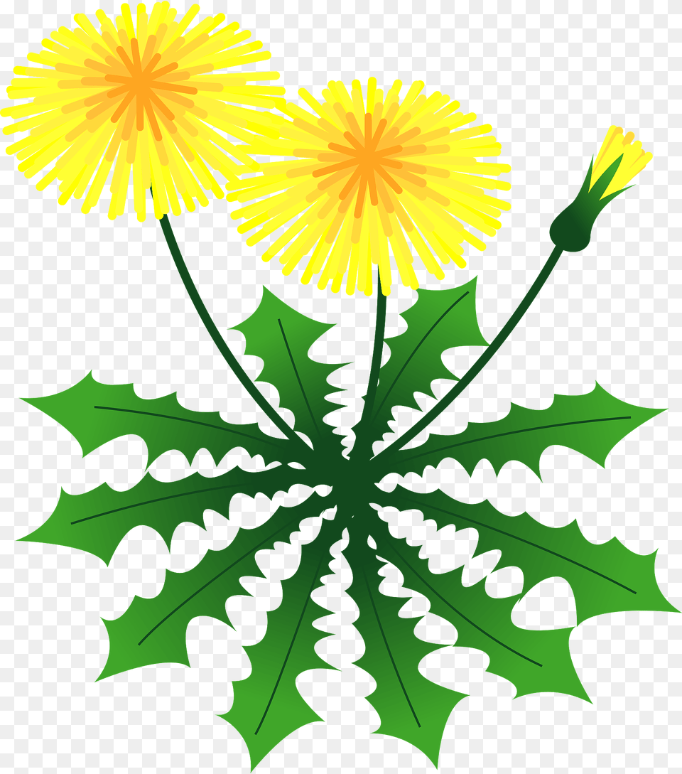 Dandelion Flowers Clipart, Flower, Plant Free Png Download