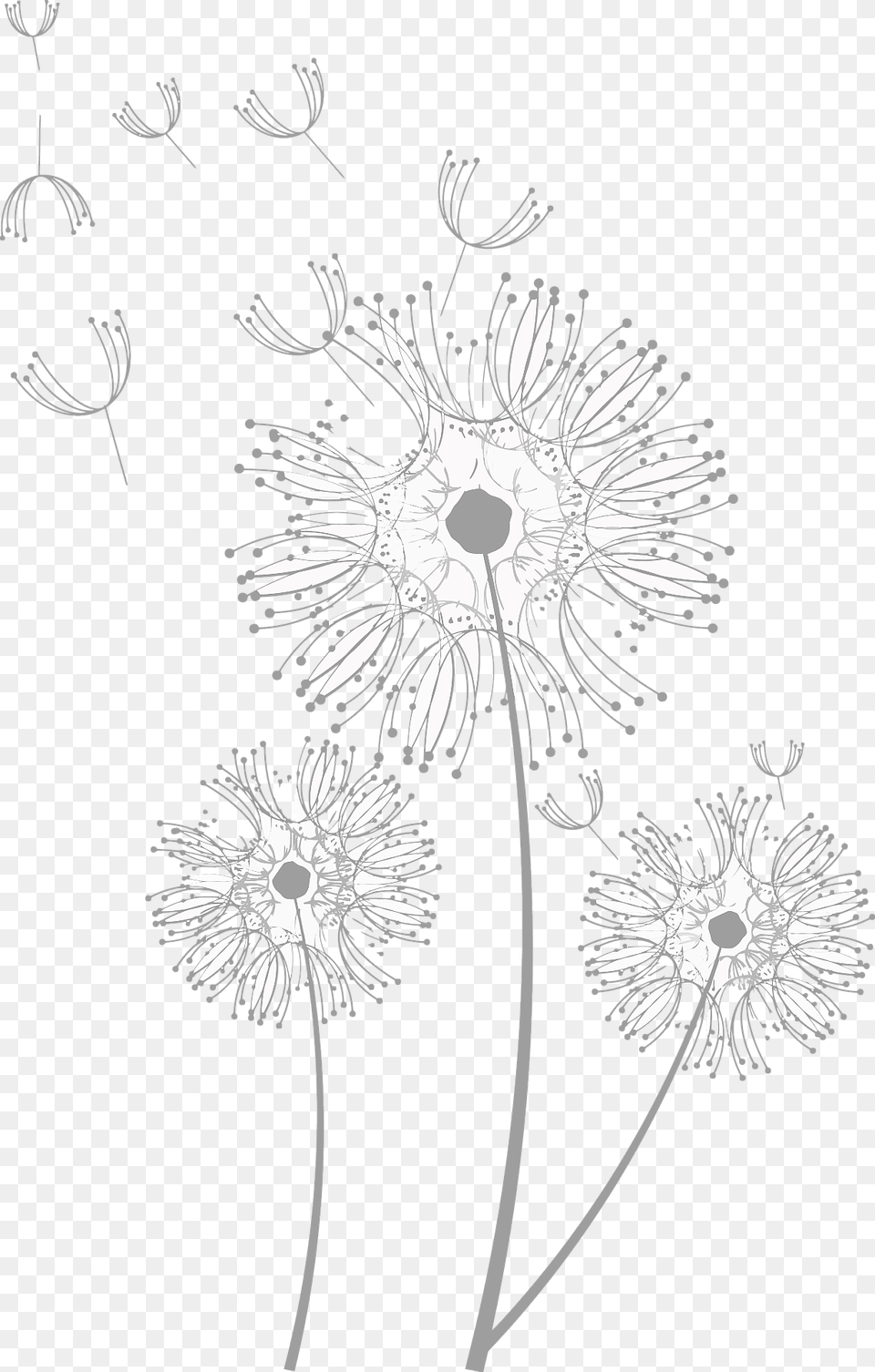 Dandelion Fluff Blowing Black And White Clipart, Flower, Plant Free Png Download