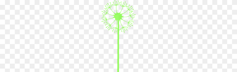 Dandelion Lime Green Clipart For Web, Flower, Plant, Person Png Image
