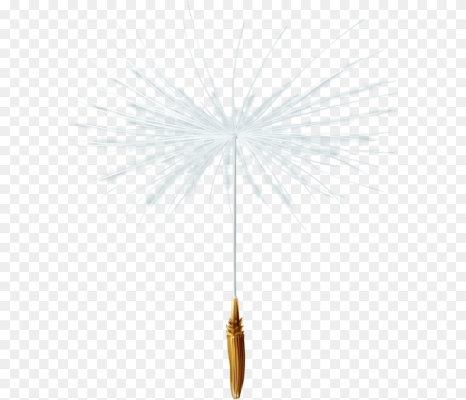 Dandelion Seed Freetoedit White Pine, Plant, Flower, Canopy, Umbrella Free Png Download