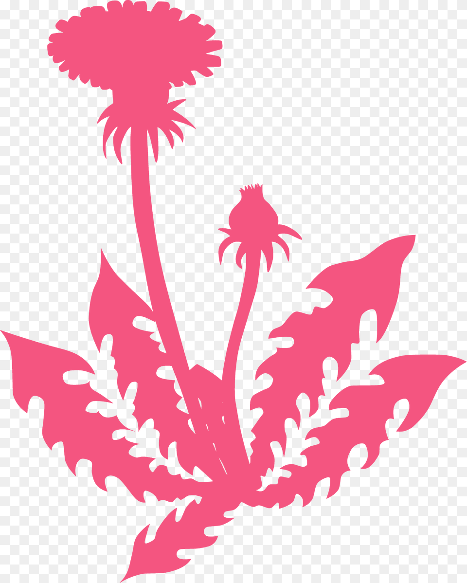 Dandelion Silhouette, Flower, Leaf, Plant, Petal Free Png