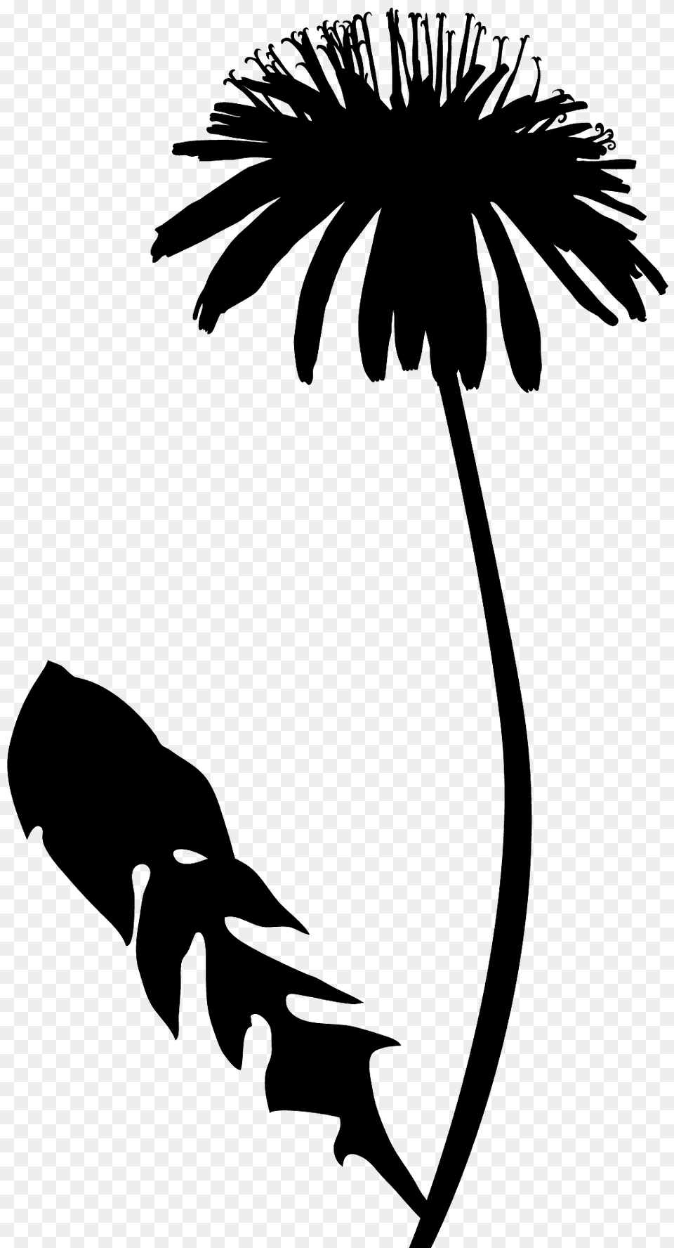 Dandelion Silhouette, Flower, Plant, Daisy, Stencil Free Png