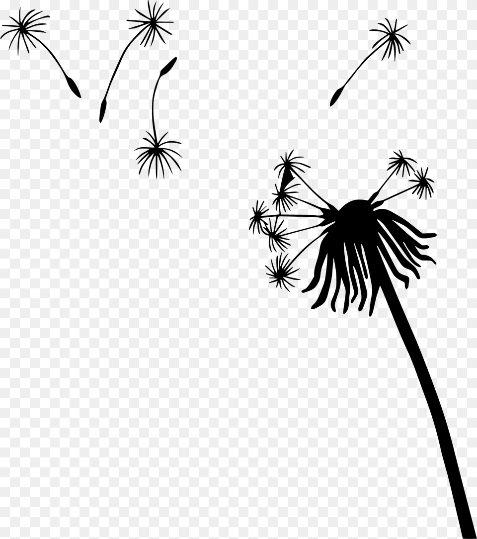 Dandelion Silhouette, Flower, Plant Png Image