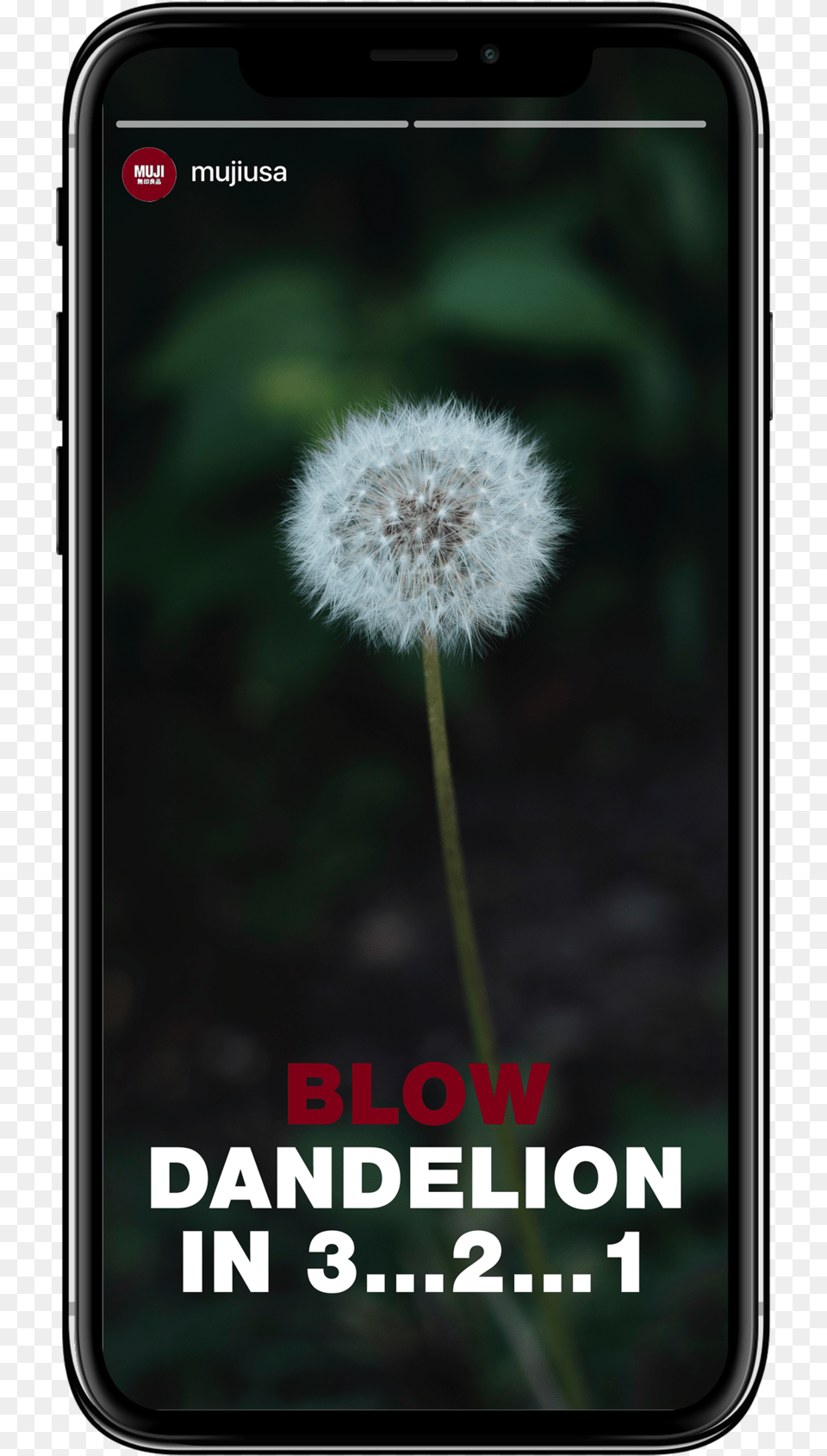 Dandelion Smartphone, Flower, Plant, Electronics, Mobile Phone Free Transparent Png