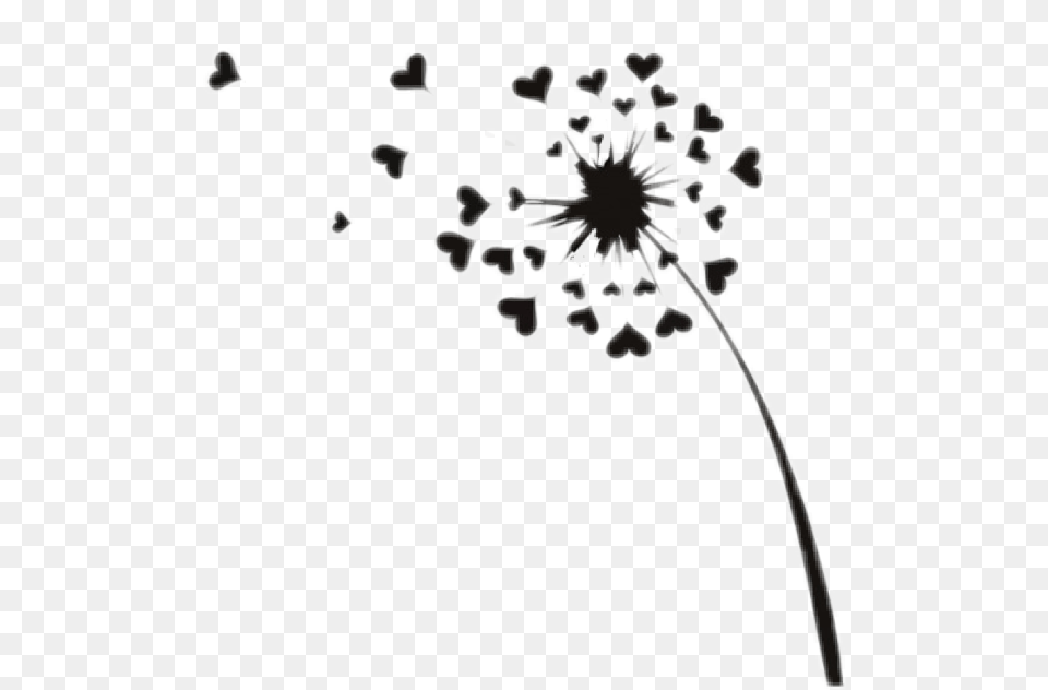 Dandelion Sticker Challenge, Flower, Plant, Blackboard Free Transparent Png