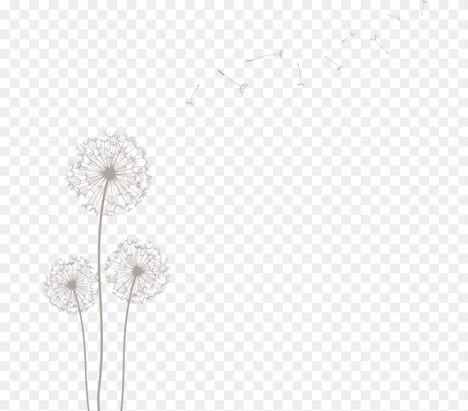 Dandelion Tumblr Transparent Dandelion, Flower, Plant Png Image