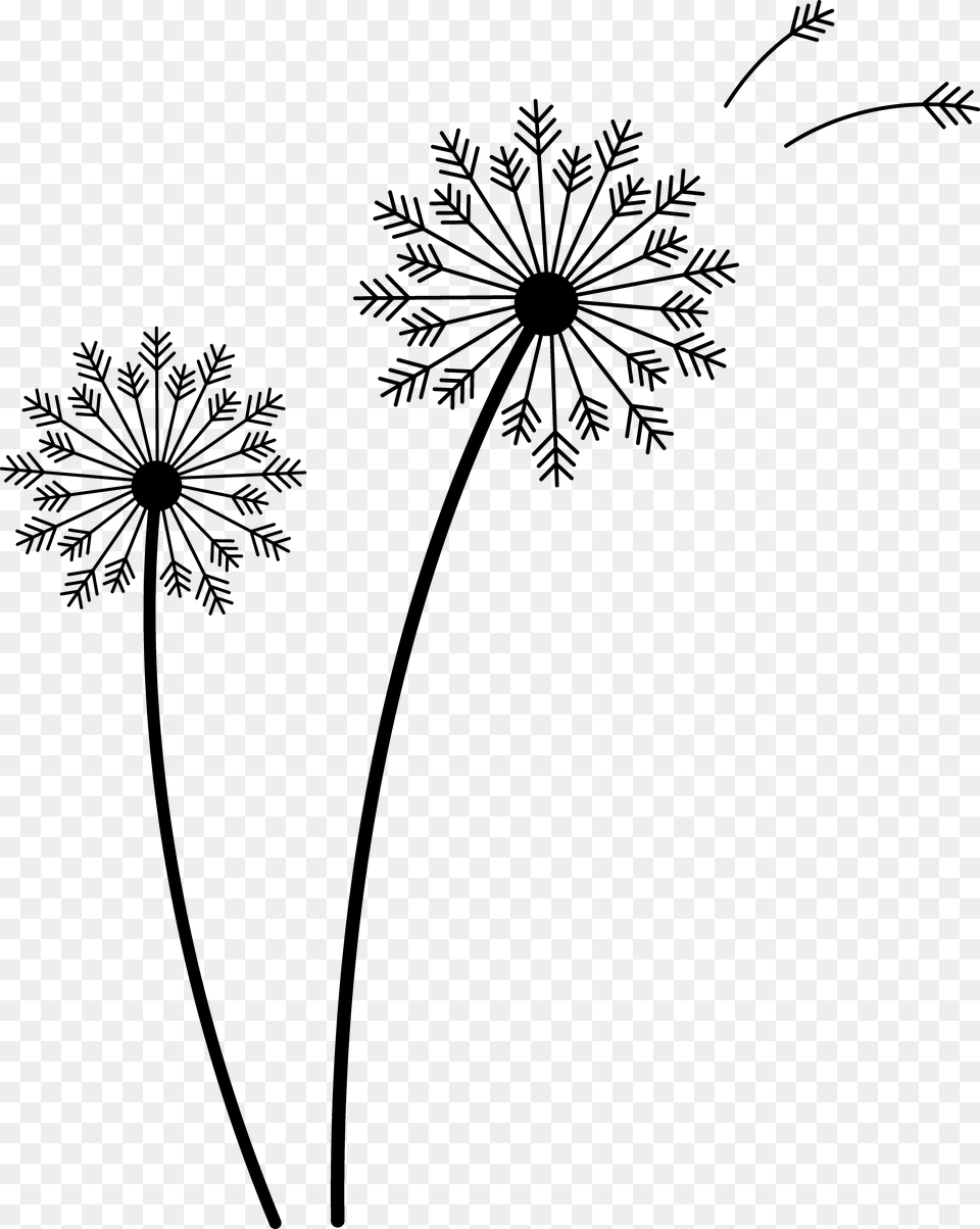 Dandelion Vector Dandelion Clip Art, Flower, Plant, Daisy Free Png