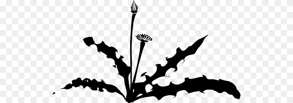 Dandelion Weed Plant Silhouette Dandelion Silhouette, Gray Png