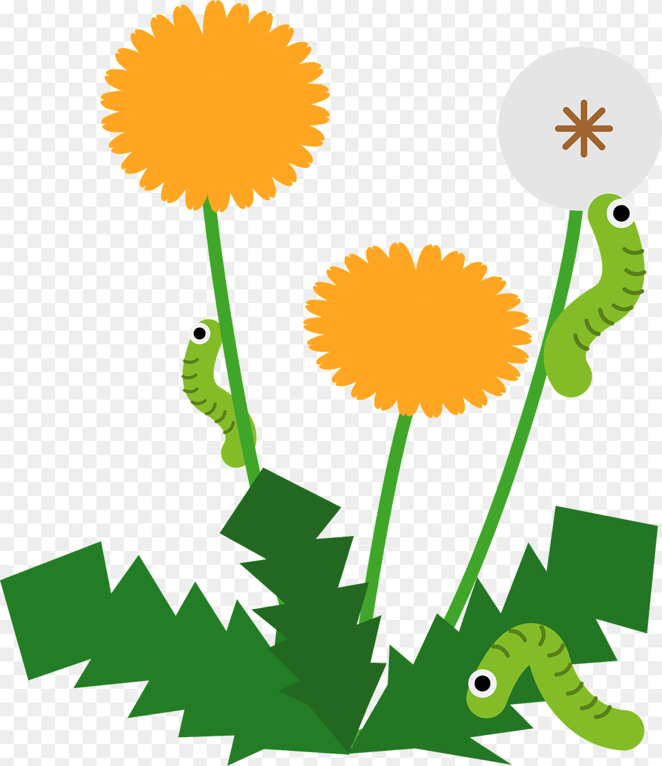 Dandelions And Caterpillars Clipart, Flower, Plant, Dandelion, Daisy Free Png Download