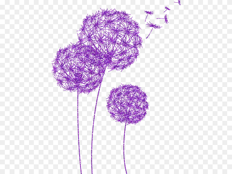 Dandelions Purple Glitter Dandelion Flower Drawing, Plant, Allium Free Png Download