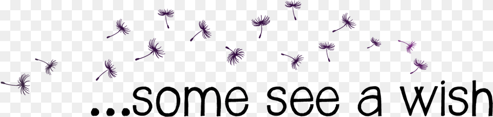 Dandelions Seeds Transparent, Purple, Flower, Plant Free Png Download